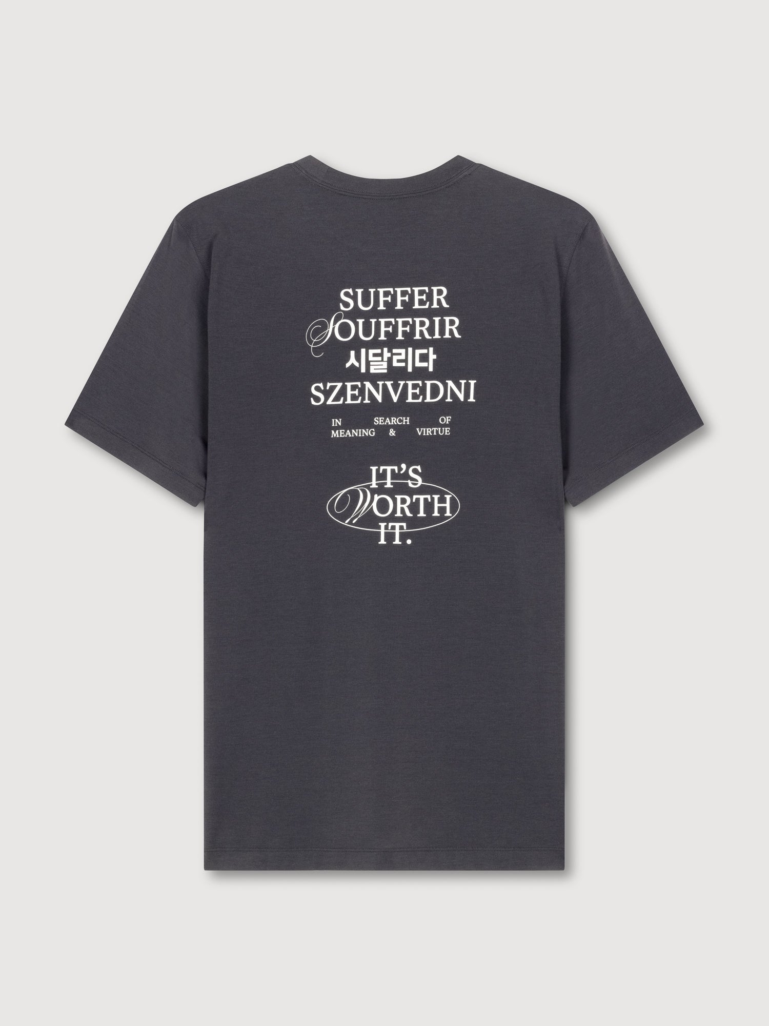 Worth It T-Shirt - Graphite