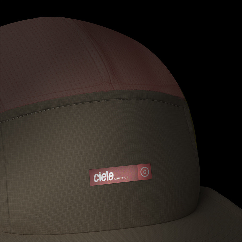 ALZCap - Horizon - Selvagraph