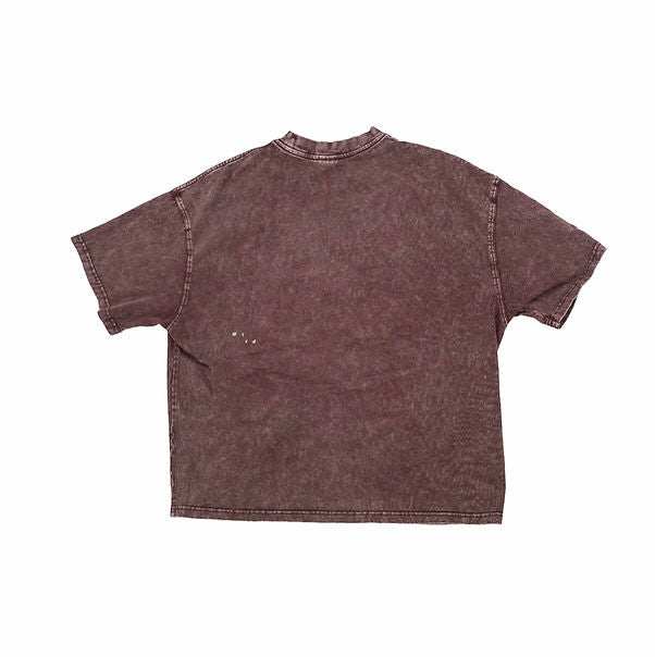 Celtica Acid Washed Crop Tee - Brick